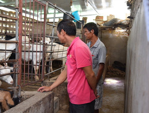 阿枢寨支部党员到带动群众家中了解肉羊养殖情况.JPG